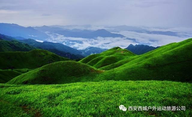 华为畅享10屏幕碎了怎么办?-专业的有问必答平台